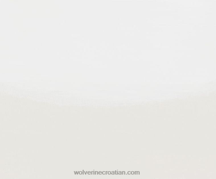 muškarci blvd court tenisica R6LL8225 Wolverine siva koža/sivi antilop