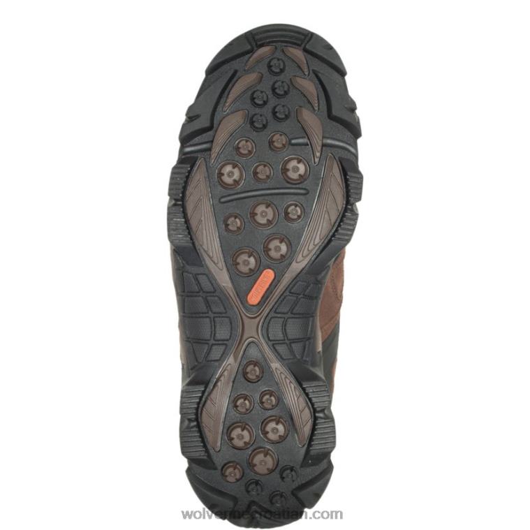muškarci čizma od kompozitnih prstiju u divljini R6LL877 Wolverine smeđa